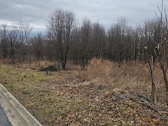 3rd image of LOT 19 Buchanan Dr