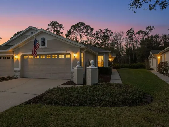 3252 CHAPEL CREEK CIRCLE, WESLEY CHAPEL, FL 33544