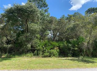 LOT 2 Greenbrier St, Eustis, FL 32736
