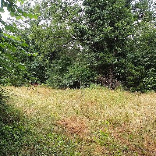 2nd image of 0 Oak Grove Rd