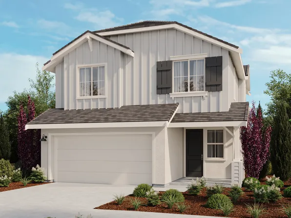 Rockrose Plan, The Pointe