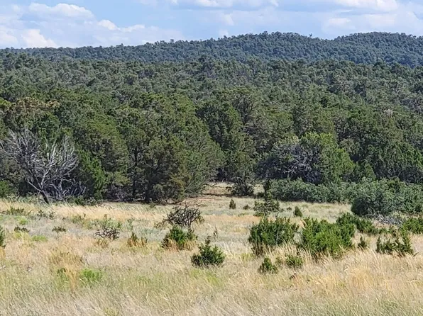 590 Fr #462, Tijeras, NM 87059