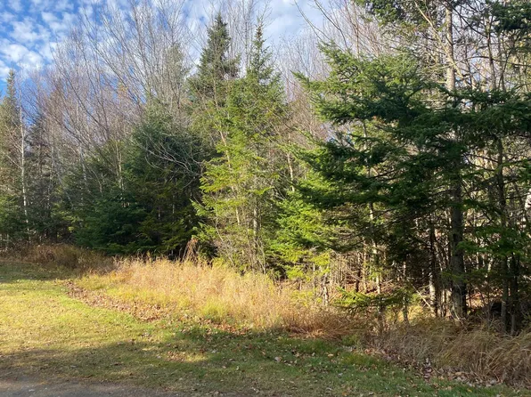 Lot 16 Bear Track Lane, Tomhegan Twp, ME 04478