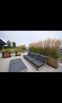 Rented by Corcoran | media 13