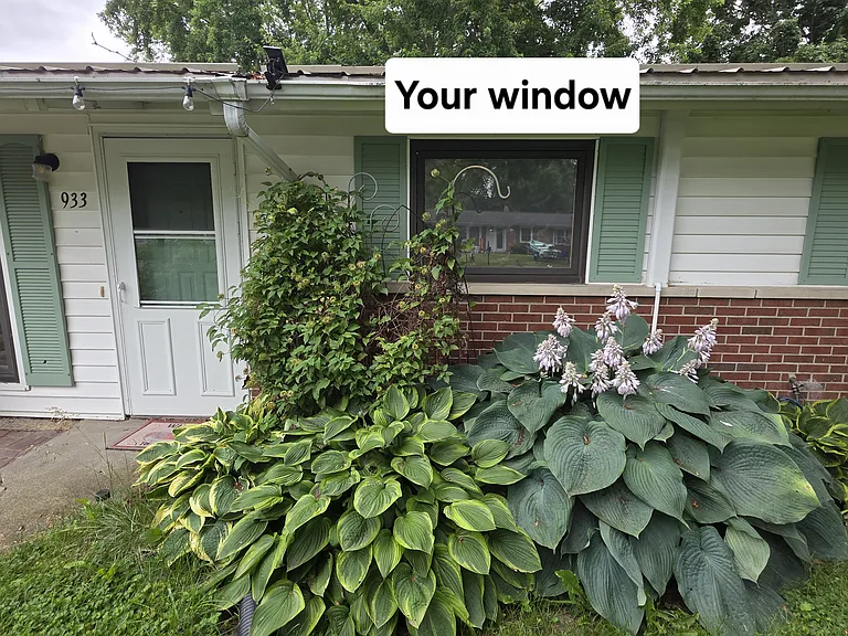 933 Cottonwood Dr — Photo 18