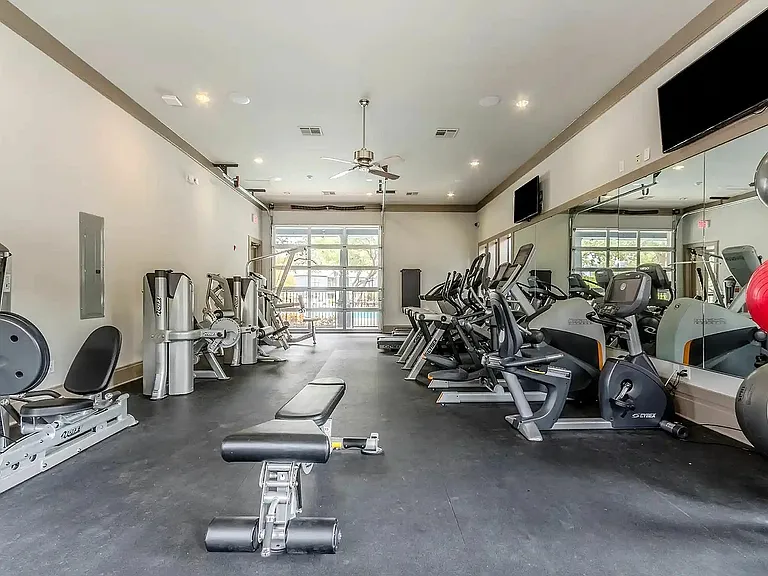 Wellness Starts Here