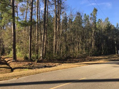 1231 Thirty Five Mile Rd, Ridgeville, SC, 29472