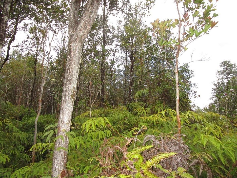2nd image of Plumeria St Lot 6356