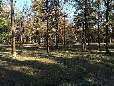 2nd image of Mockingbird Ln