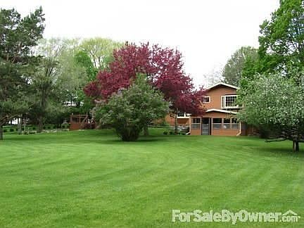 Park-like back yard