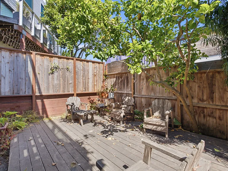 Shared Backyard
