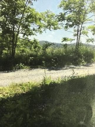 5th image of 121 Valley View Pvt Dr