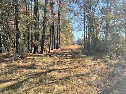 4th image of 0 Mills Austin Rd Tract 85
