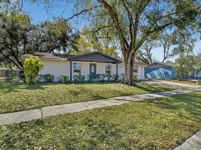 3706 Mistwood Dr, Tampa, FL, 33619