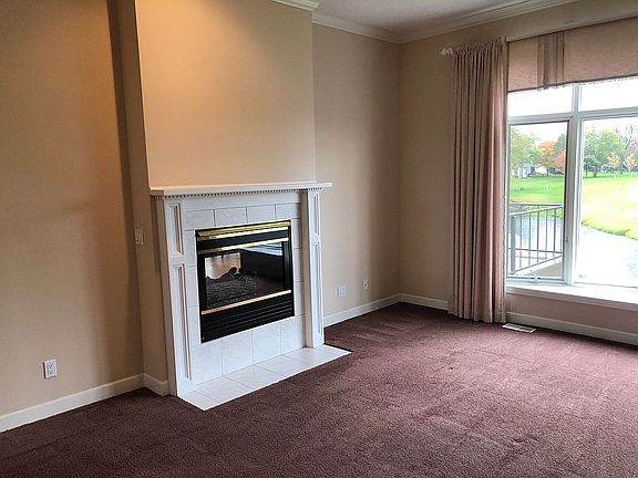Living Room fireplace