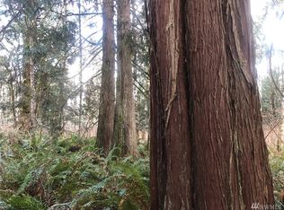 31 Zion View Ln, Quilcene, WA 98376