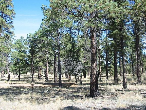 5th image of 14794 Wetterhorn Peak Trail LOT 31