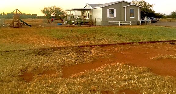 Irrigated grass area