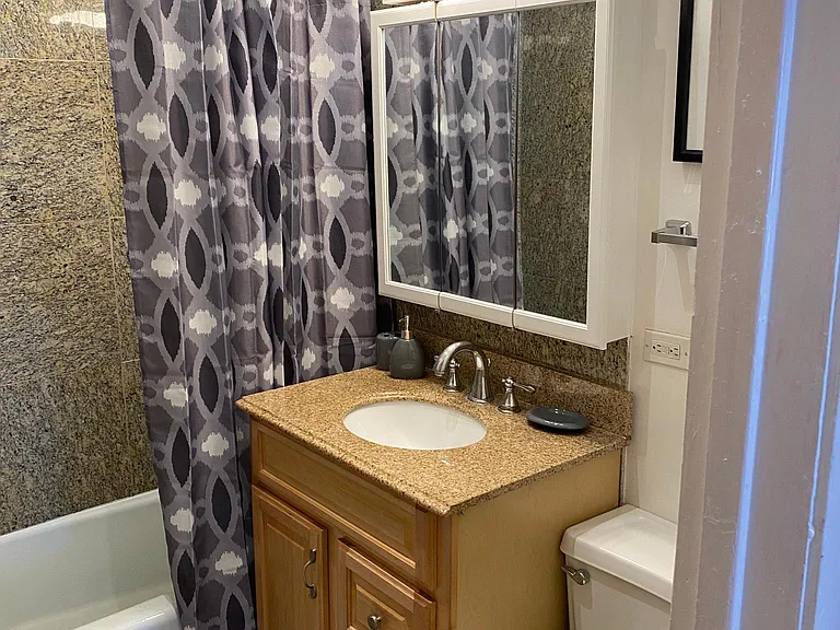 1060 N Kedzie Ave #3 — Photo 9