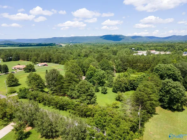 151 Joyce Rd, Laceys Spring, AL 35754