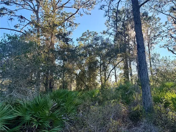 903 Hibiscus Dr Lot 23, Indian Lake Estates, FL 33855