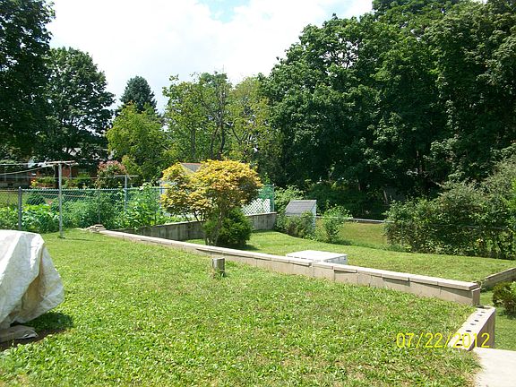 upper back yard
