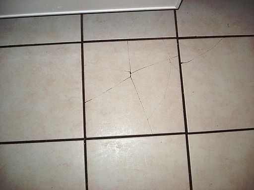 4th image of 228 Desert Rose Ct APT 4