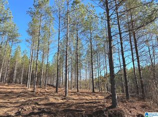 Firehouse Rd, Goodwater, AL 35072