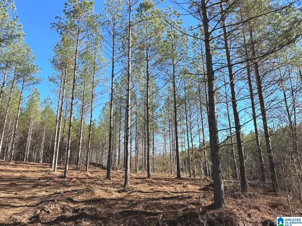 Firehouse Rd, Goodwater, AL 35072