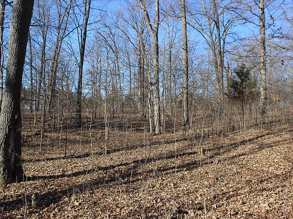 5th image of 0 Palmer Dr Lot 51