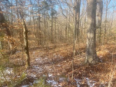 LOT 2 Cumberland Xing, Monticello, KY, 42633