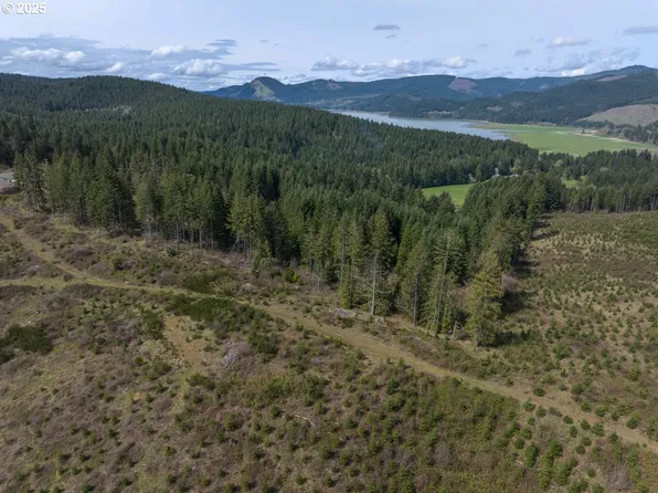 0 Blm Rd #21-2-15, Dorena, OR 97434