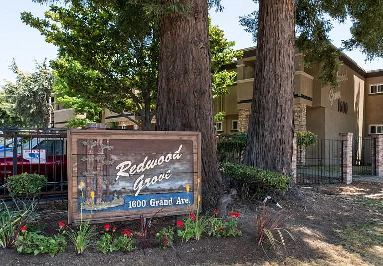 Redwood Grove — Photo 12