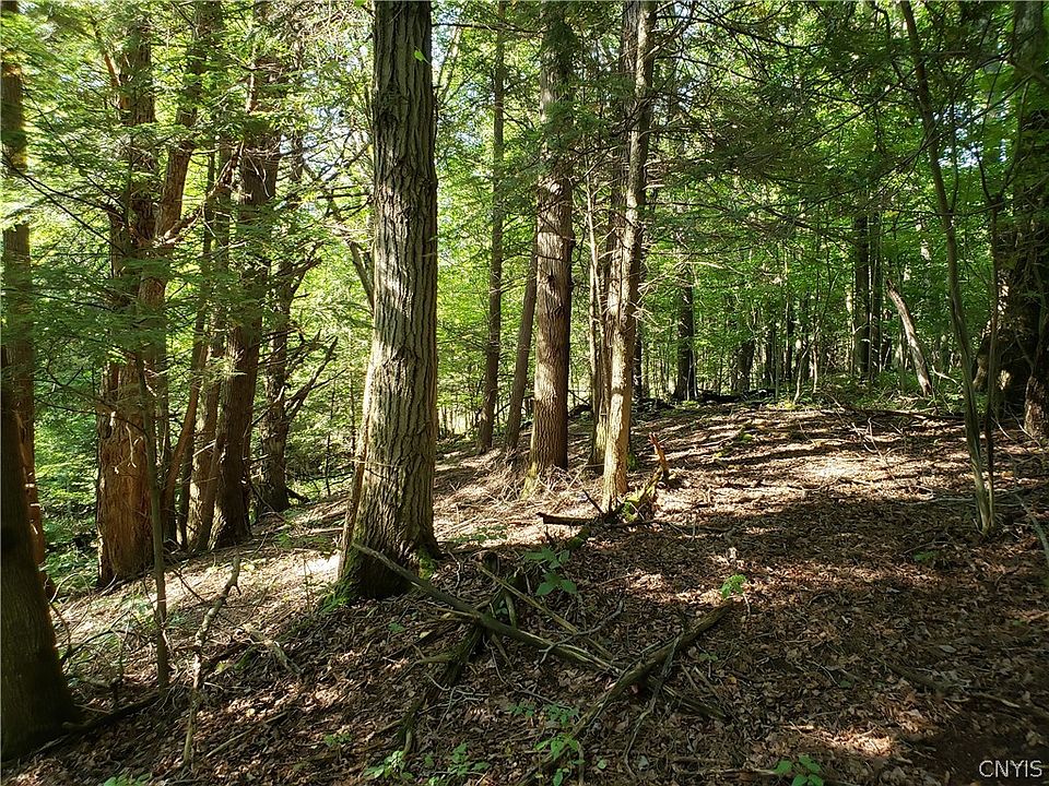 0 Atwood Rd, Moravia, NY 13118 Zillow