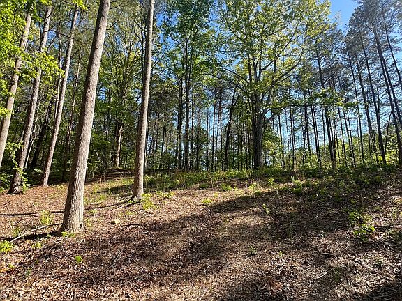 4th image of LOT 4 Battle Ridge Dr