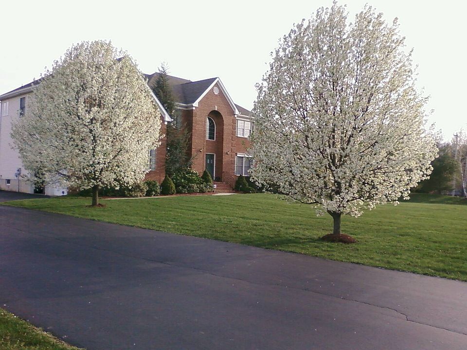 2nd image of 1 Lyle Farm Ln