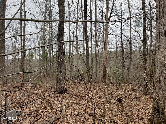 2nd image of Ashley Ln