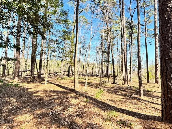 579 Private Road 8480, Broaddus, TX 75929