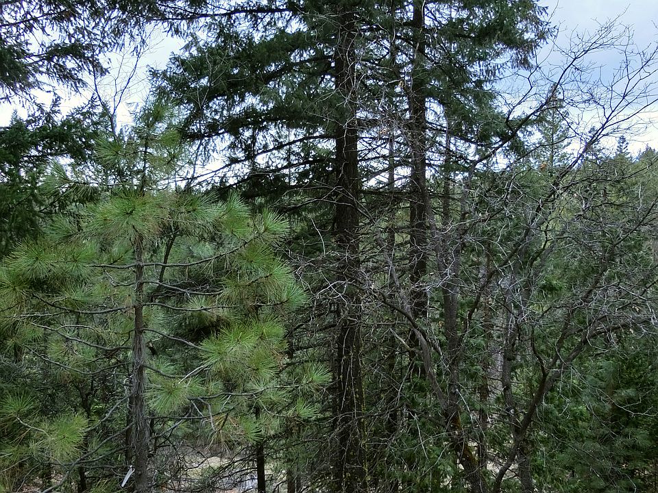 1st image of 2701 Meadow View Ln