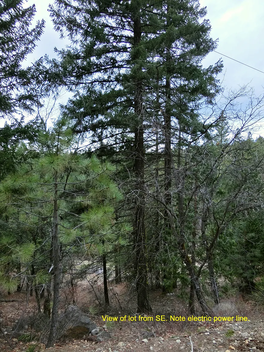 2701 Meadow View Ln photo 1