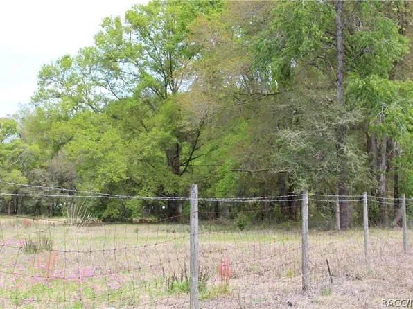 8055 N Citrus Ave, Dunnellon, FL 34433