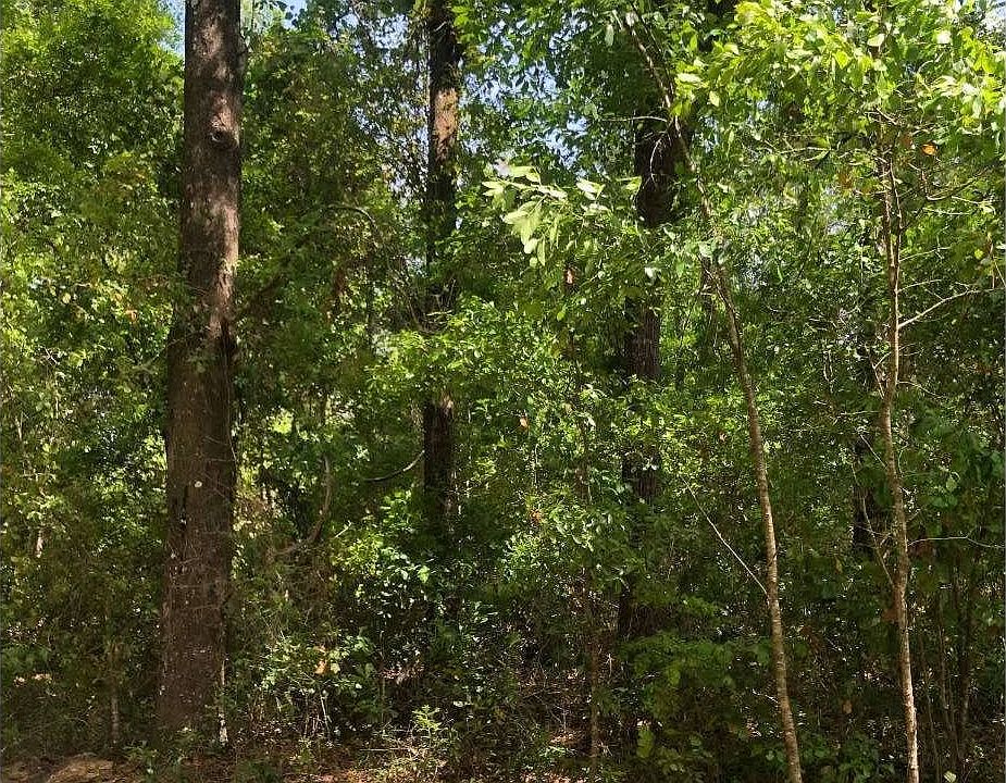 1st image of Sw Airpark Glen