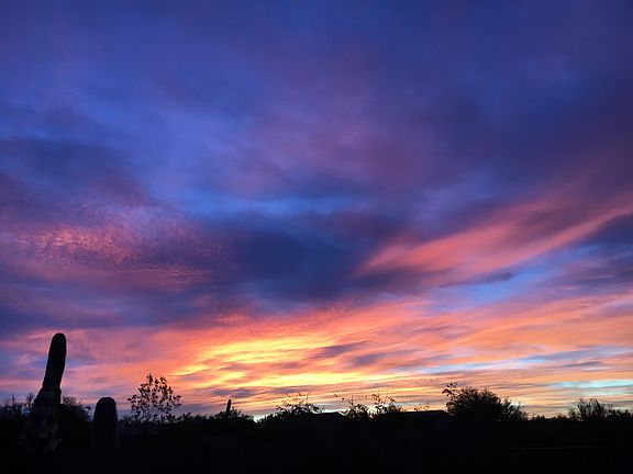 Backyard view of a sunrise