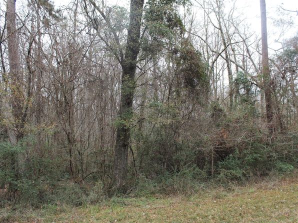 0 Peach Creek Dr, Conroe, TX 77303