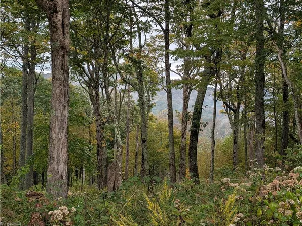 LOT 14 Elk Creek Mountain Pkwy, Todd, NC 28684