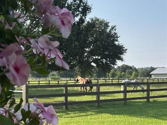 4th image of 50386 Turnpike Rd