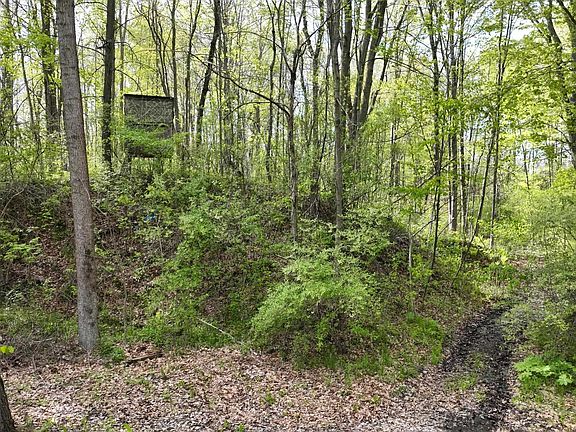 3rd image of 0 Miller Lake Rd