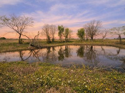 LOT 95 Stillwater Shores Dr, Corsicana, TX, 75109