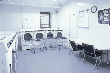 Rented by Bold New York