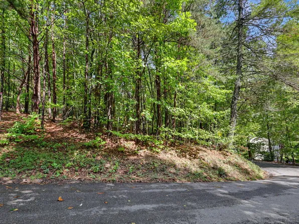 73 Pine Crest Rd, Young Harris, GA 30582